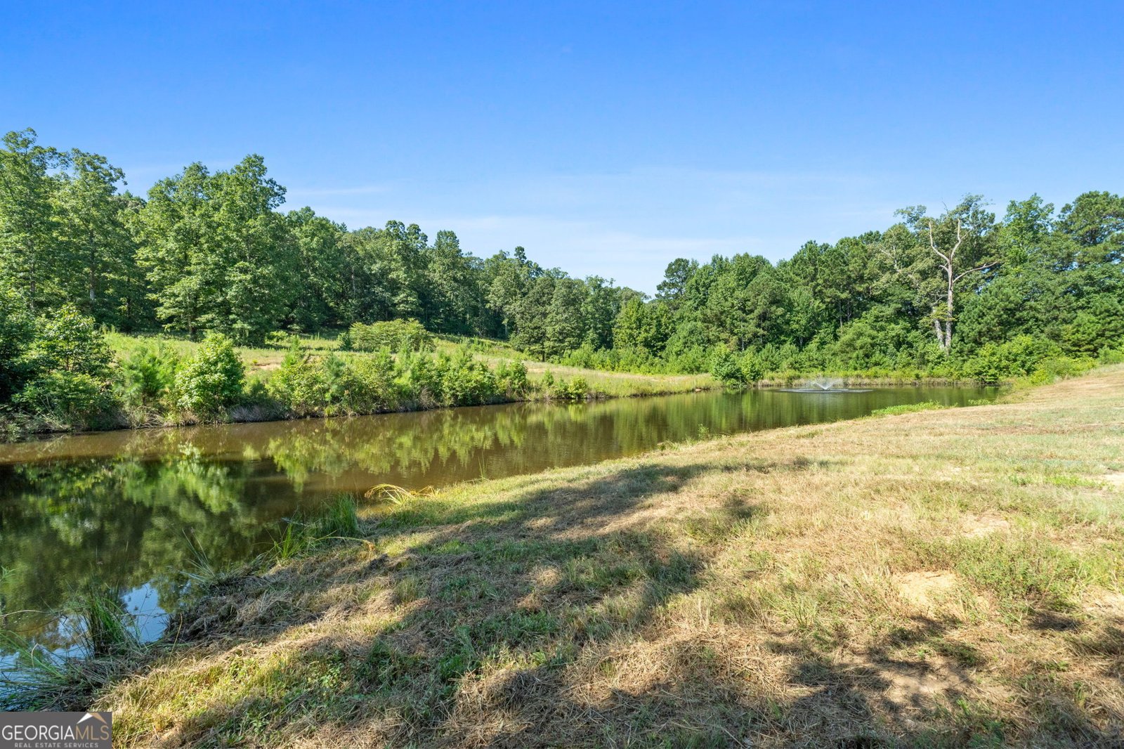 386 Barnetts Bridge Road Jackson - 20