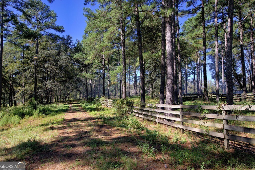 1136 Nesbitt Road Pavo - 20