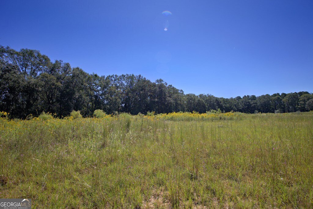 1136 Nesbitt Road Pavo - 35