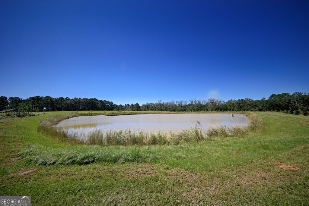 1136 Nesbitt Road Pavo - 37