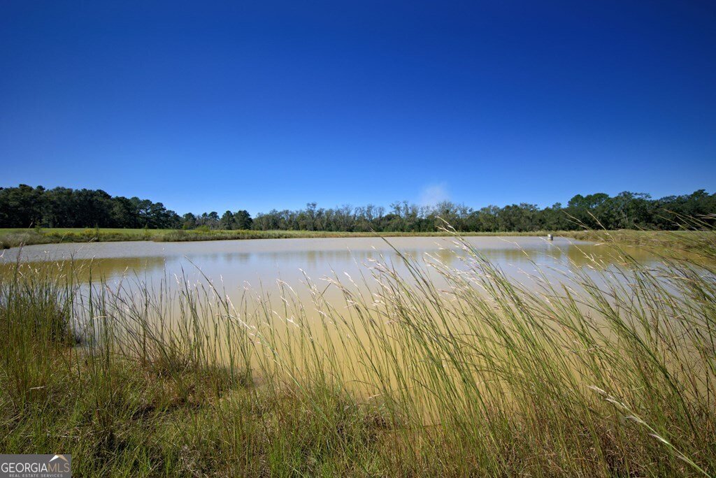 1136 Nesbitt Road Pavo - 38