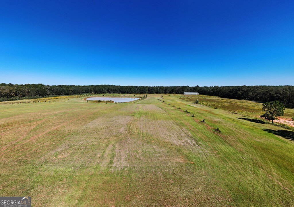 1136 Nesbitt Road Pavo - 46