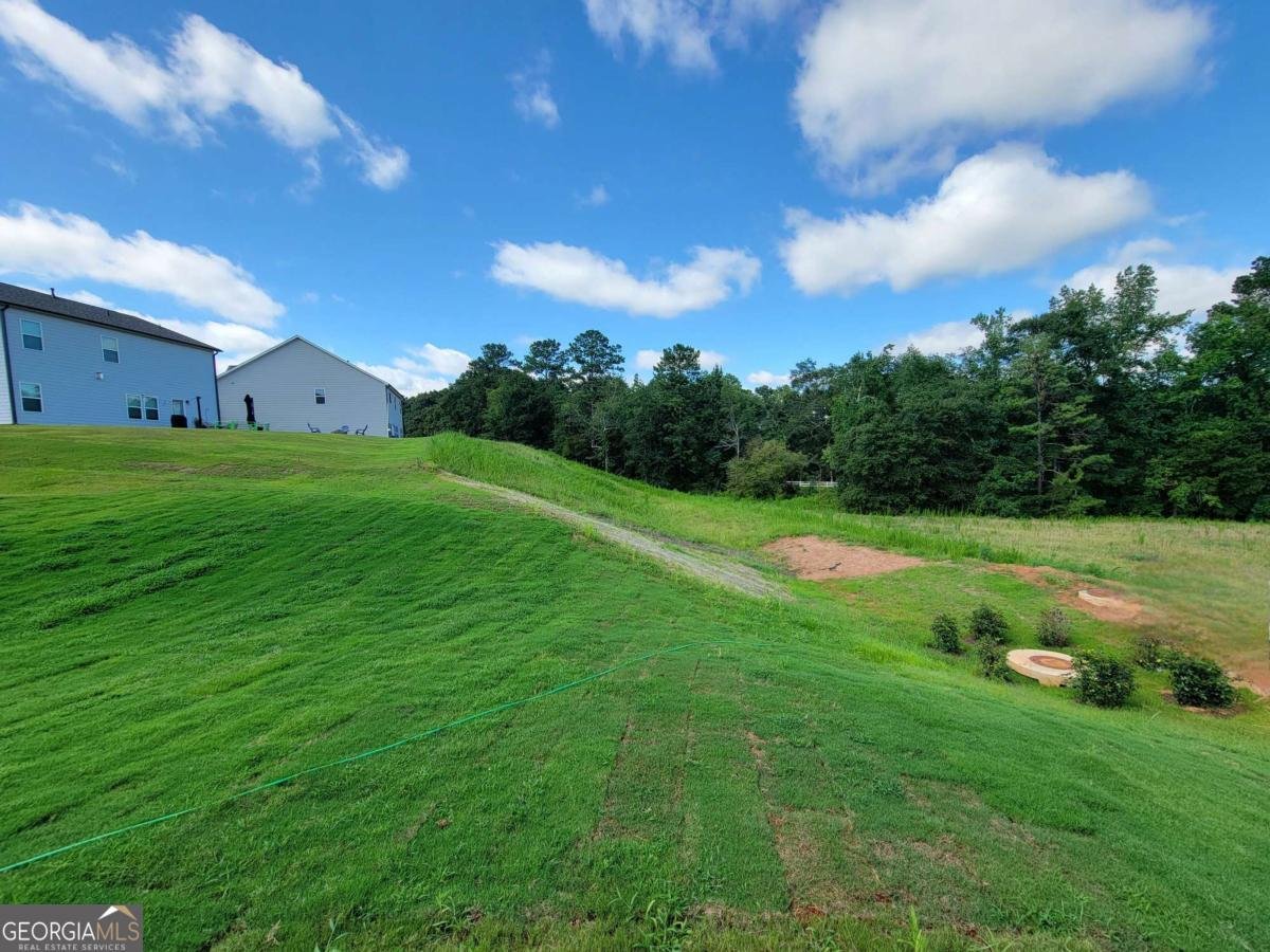 389 Silverleaf Trail Bethlehem - 32