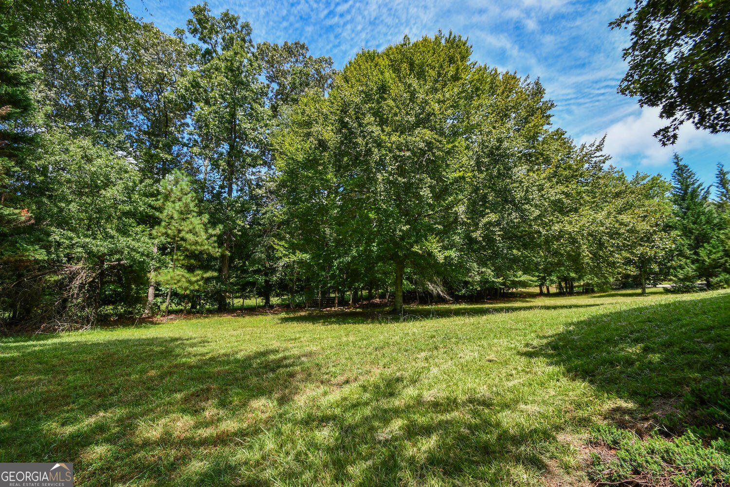 17040 Birmingham Highway Alpharetta - 34