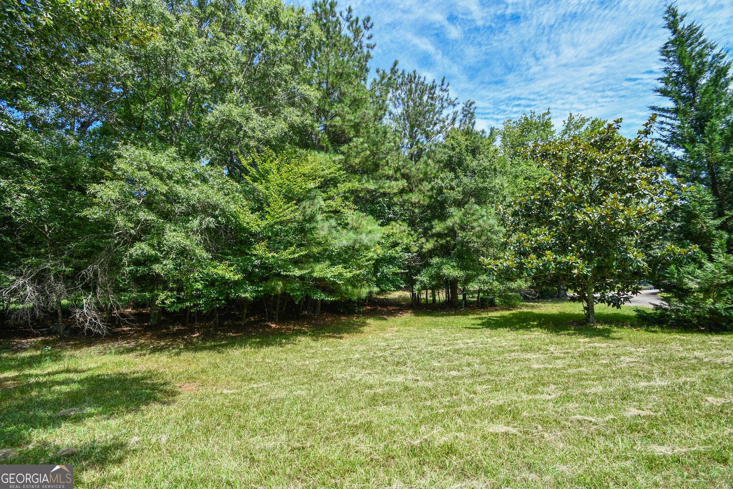 17040 Birmingham Highway Alpharetta - 51