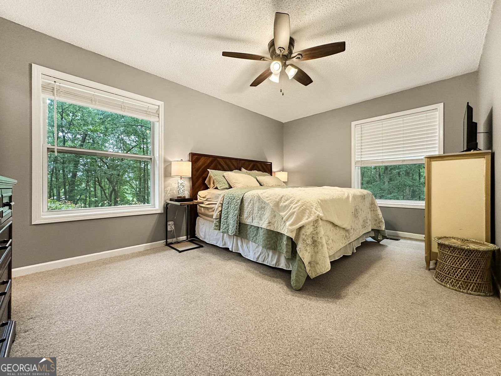 135 Farm Lane Fayetteville - 16