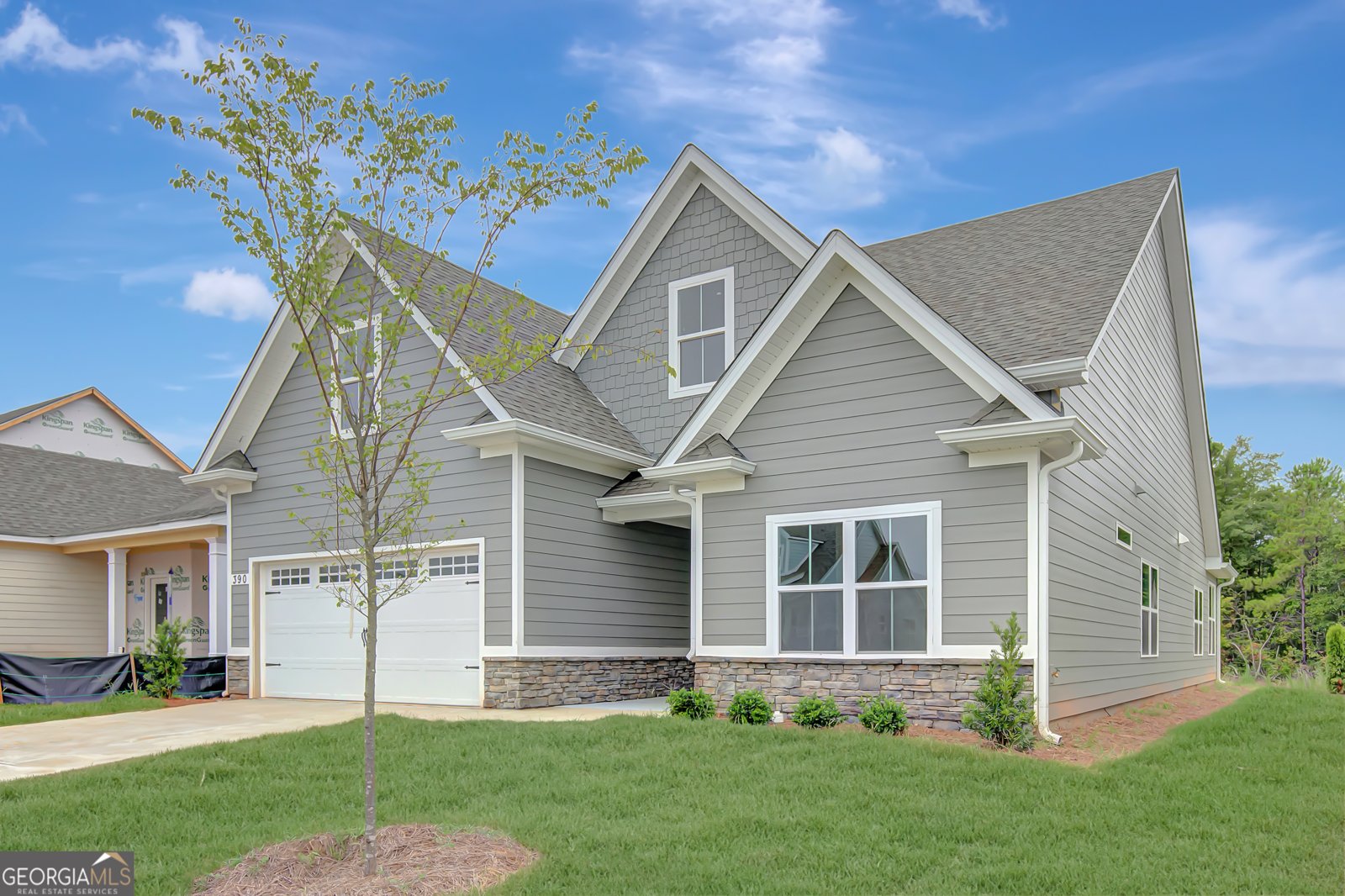 390 Redhaven Drive Senoia - 2