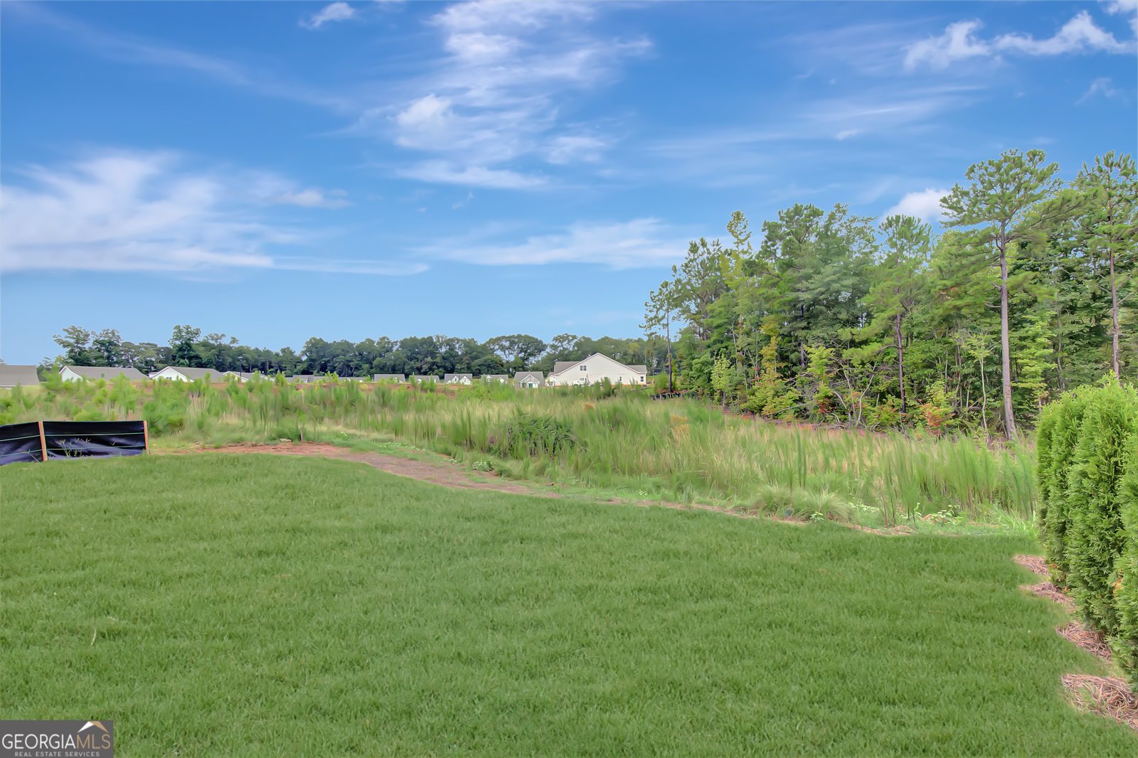 390 Redhaven Drive Senoia - 36