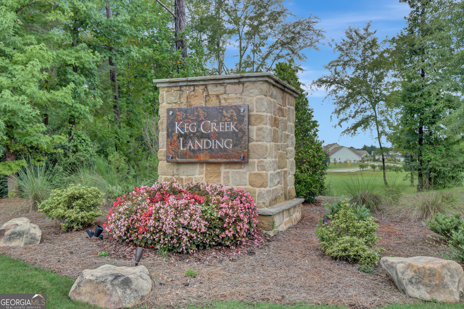 390 Redhaven Drive Senoia - 37