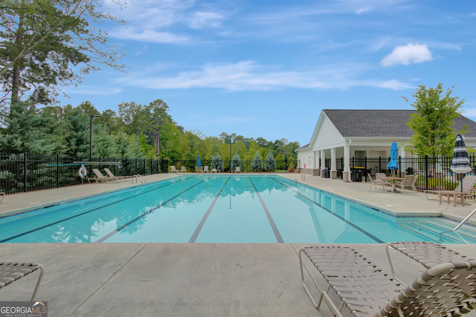 390 Redhaven Drive Senoia - 38