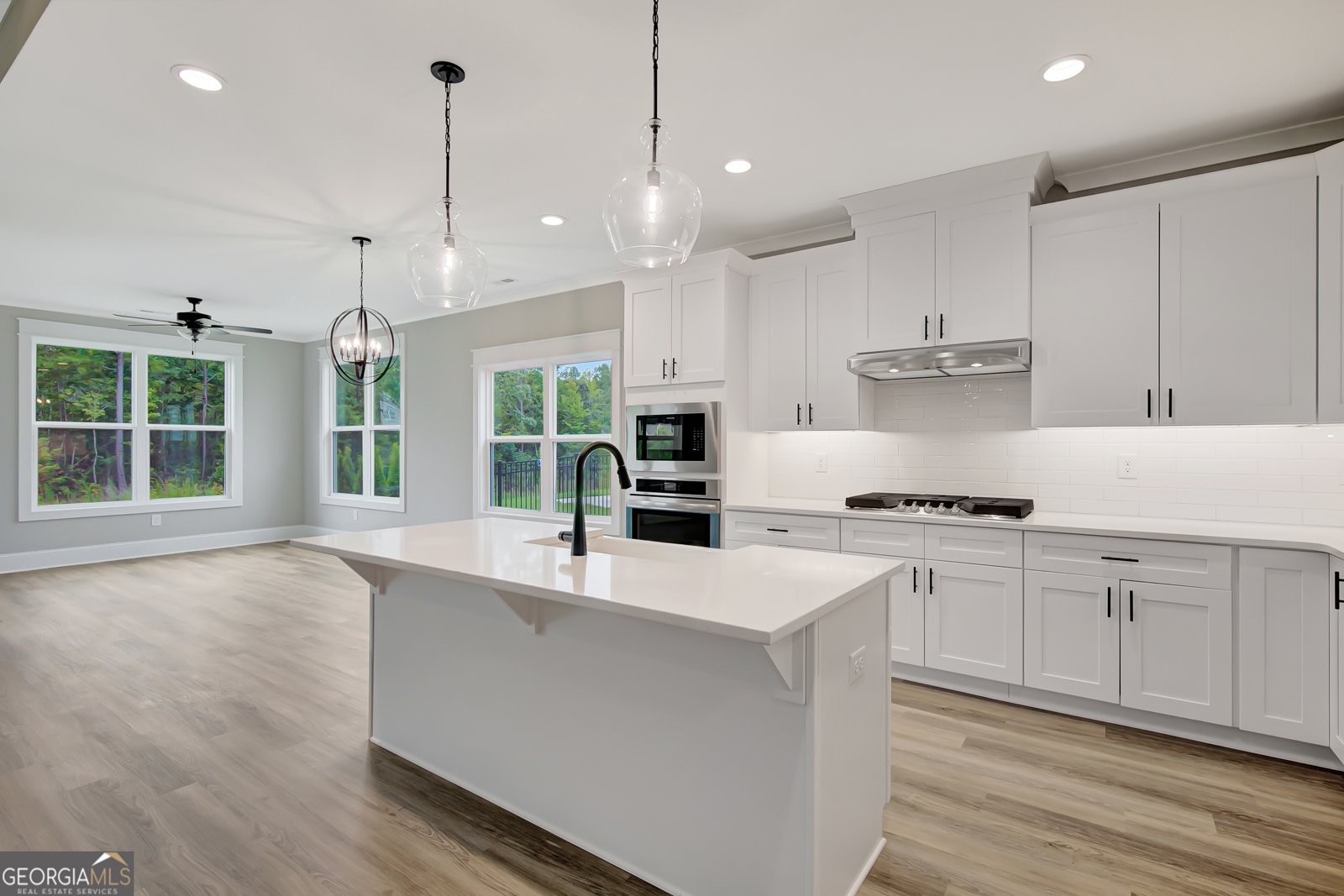 390 Redhaven Drive Senoia - 4