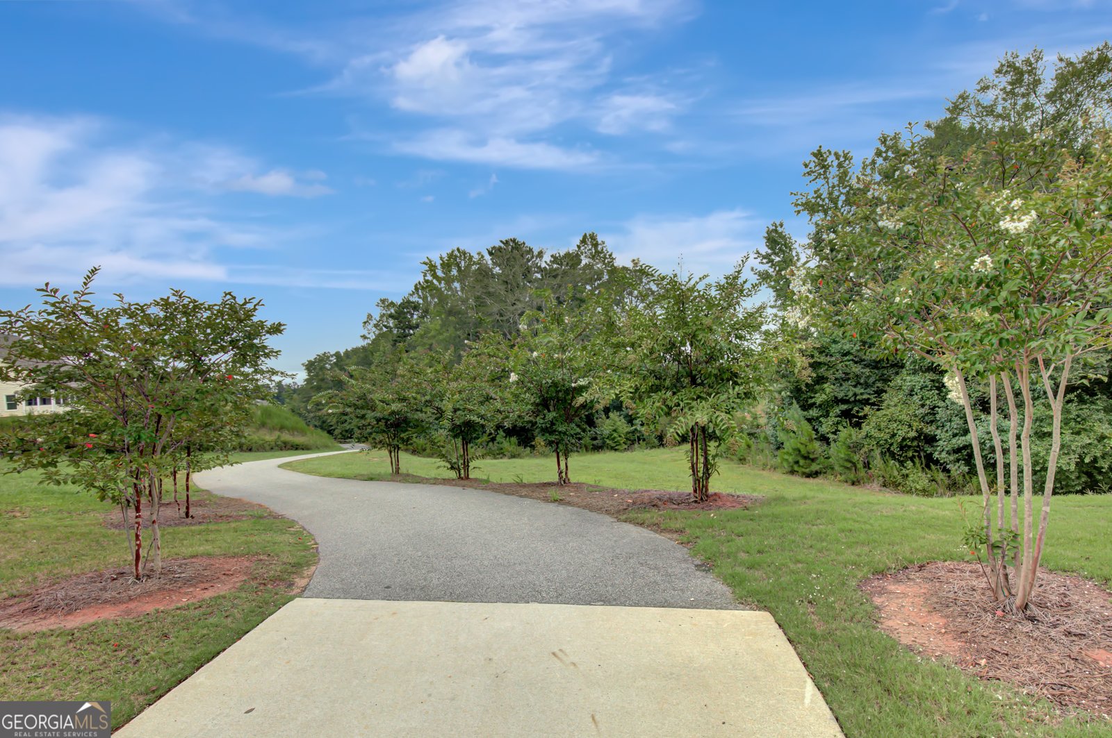 390 Redhaven Drive Senoia - 40