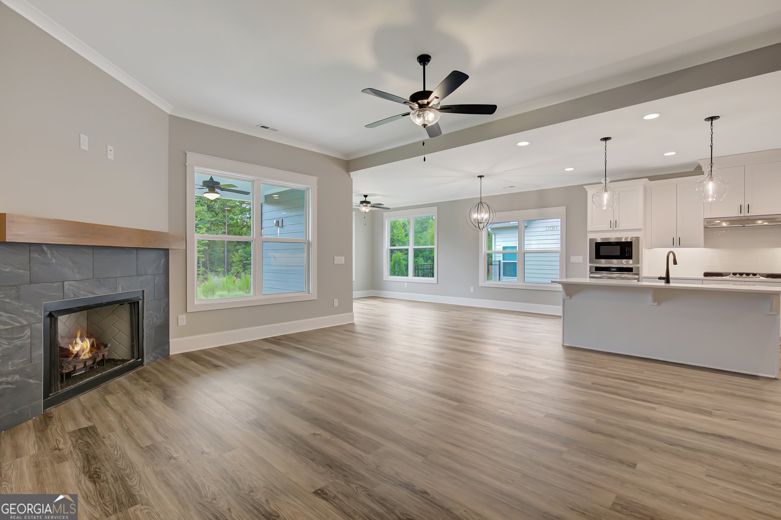 390 Redhaven Drive Senoia - 5