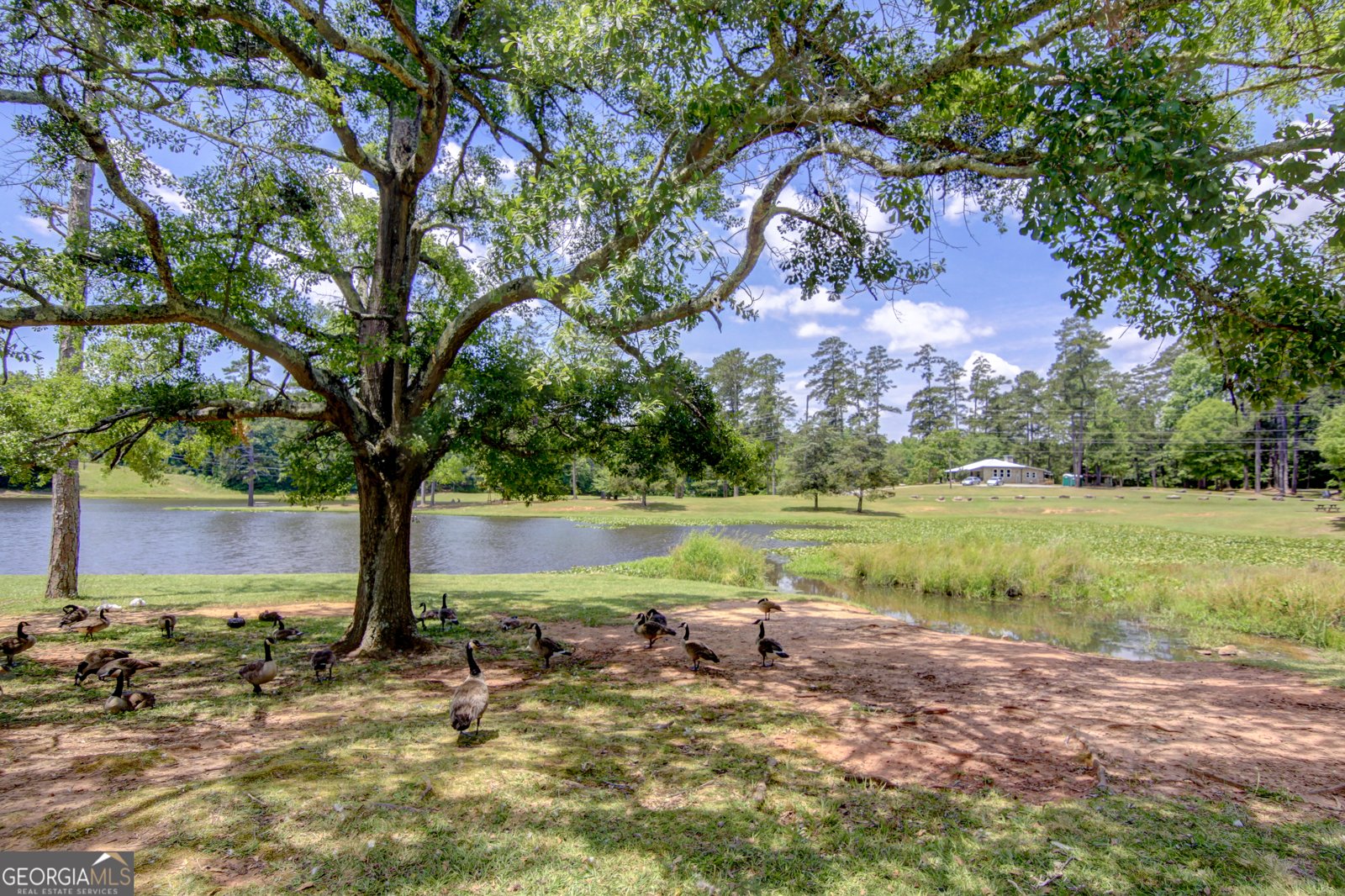 390 Redhaven Drive Senoia - 51