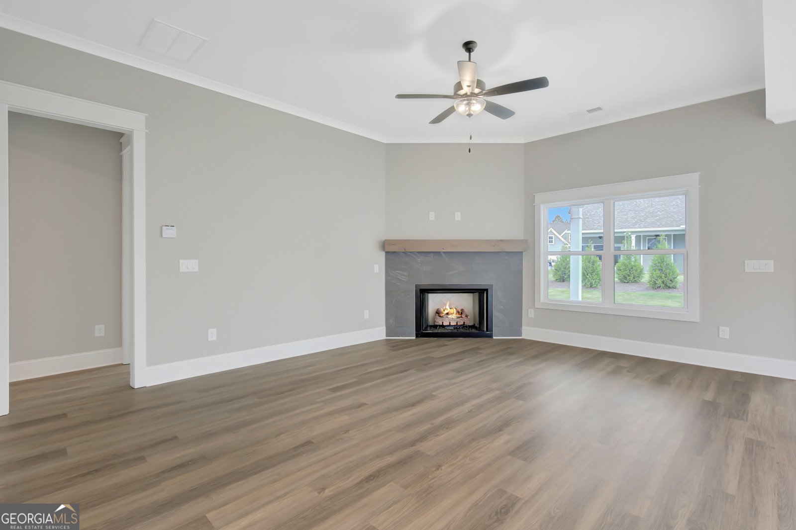 215 Redhaven Drive Senoia - 4
