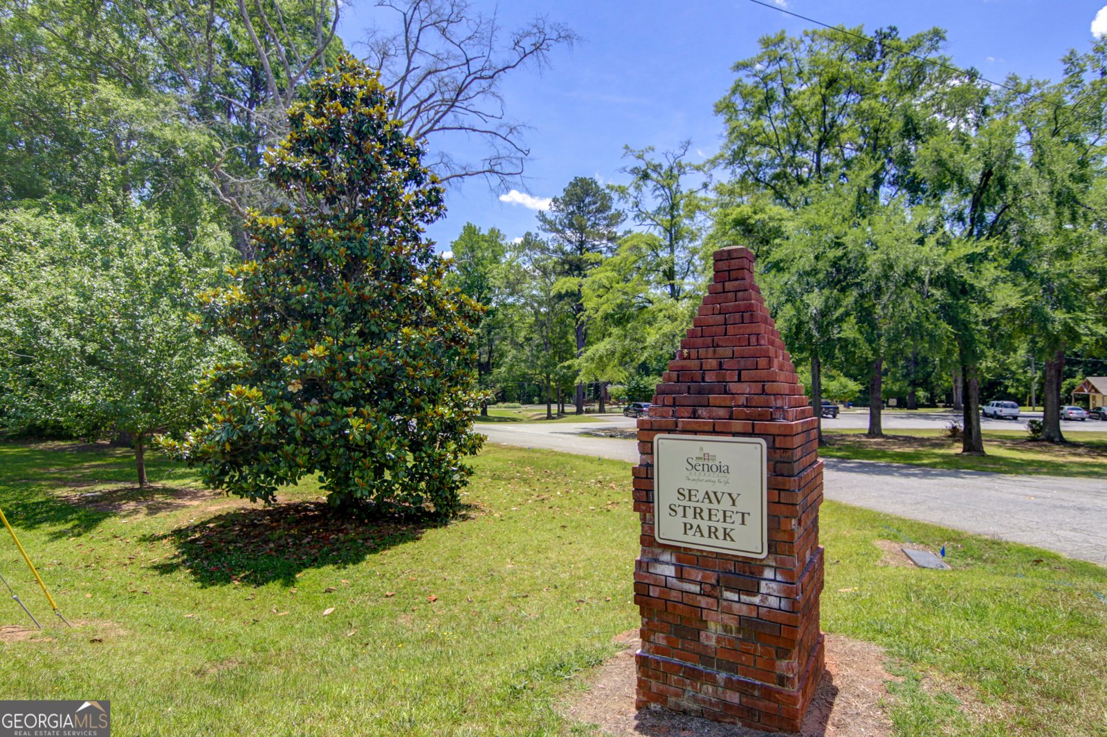 215 Redhaven Drive Senoia - 48