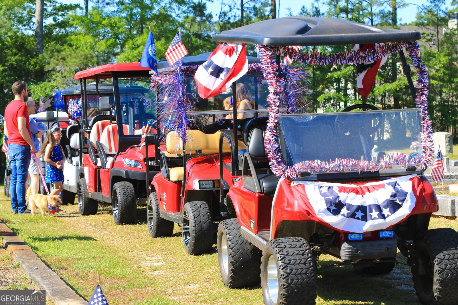 215 Redhaven Drive Senoia - 51