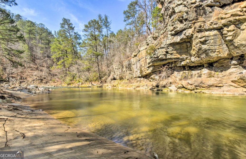 1130 Marie Drive Talking Rock - Photo 51