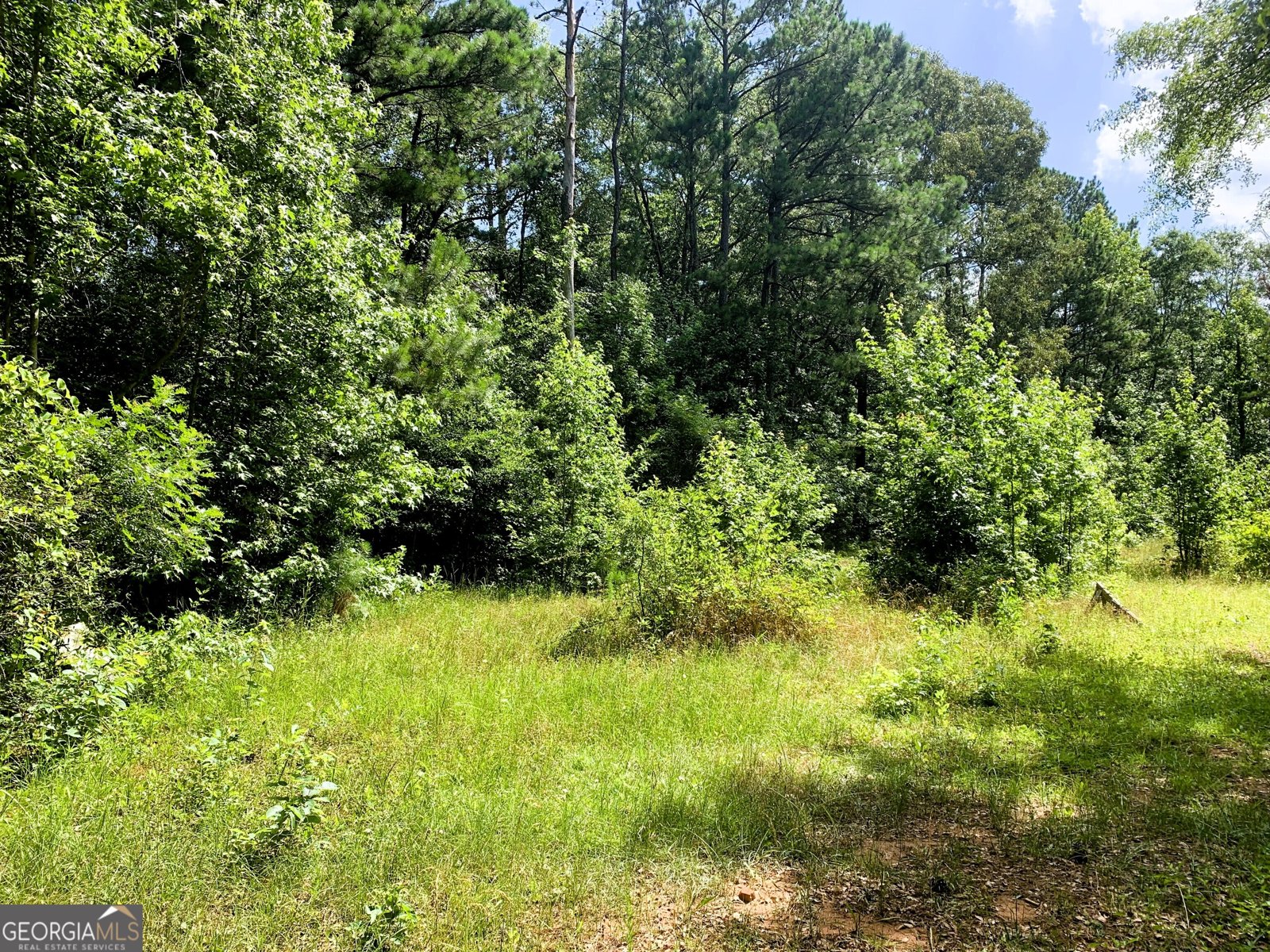 4170 Hollonville Road Williamson - 11