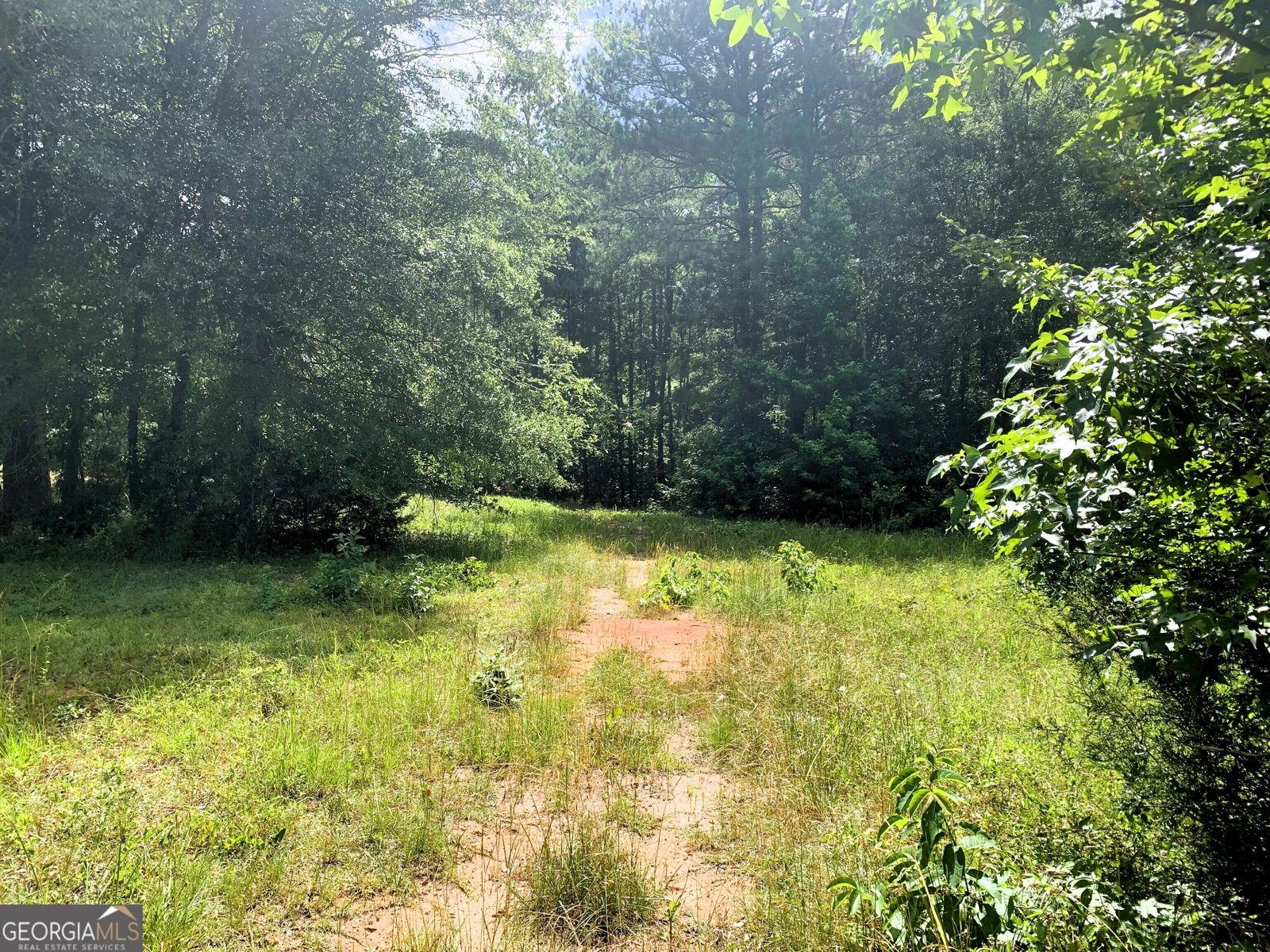 4170 Hollonville Road Williamson - 17