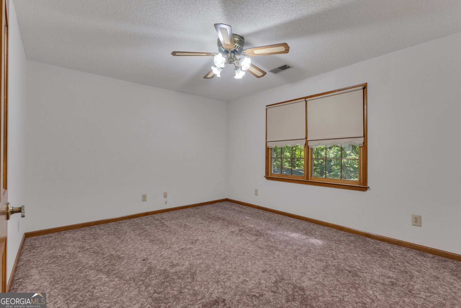 190 Brierwood Drive Fayetteville - 38