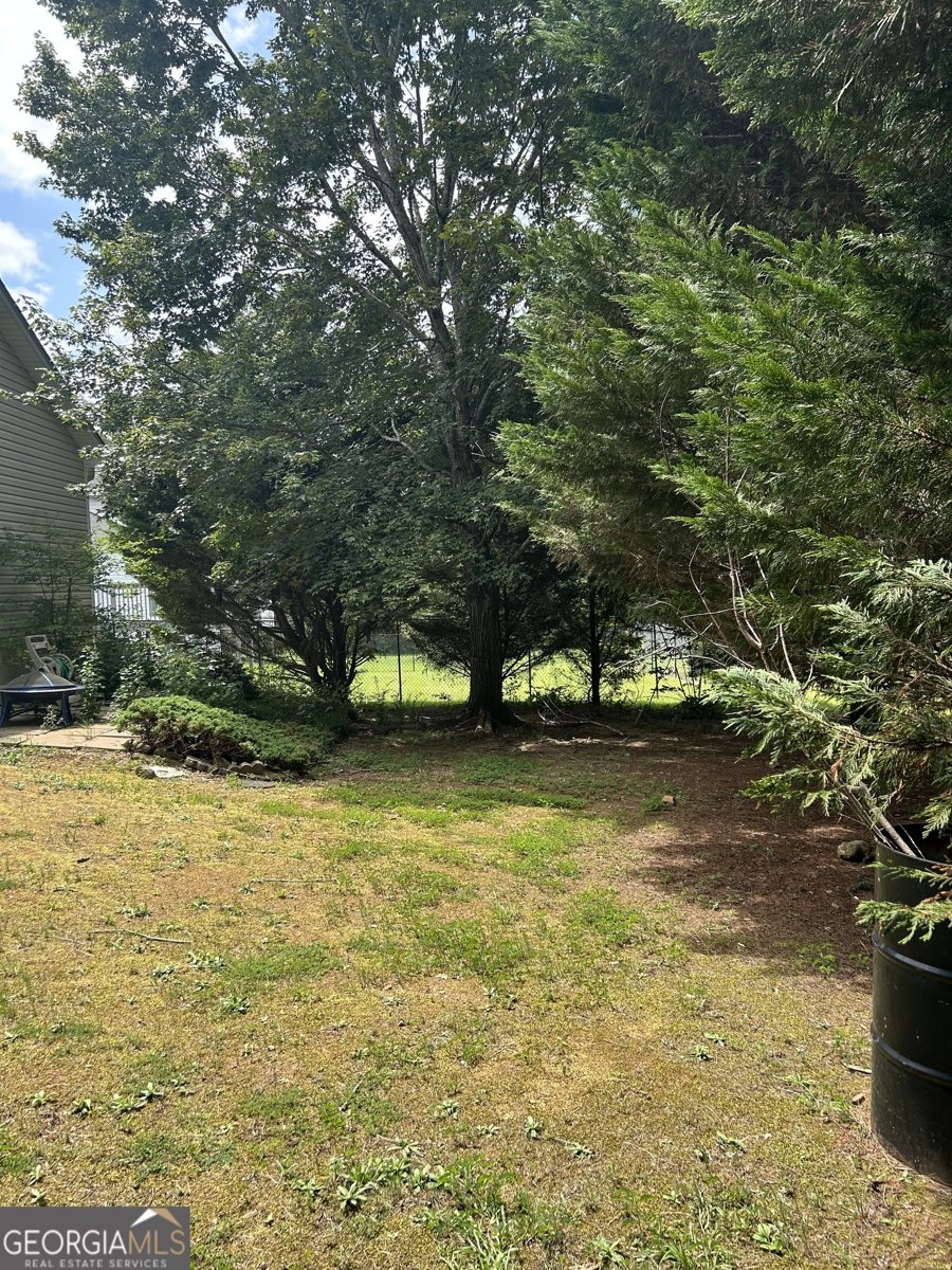 413 REMINGTON Court Villa Rica - 4