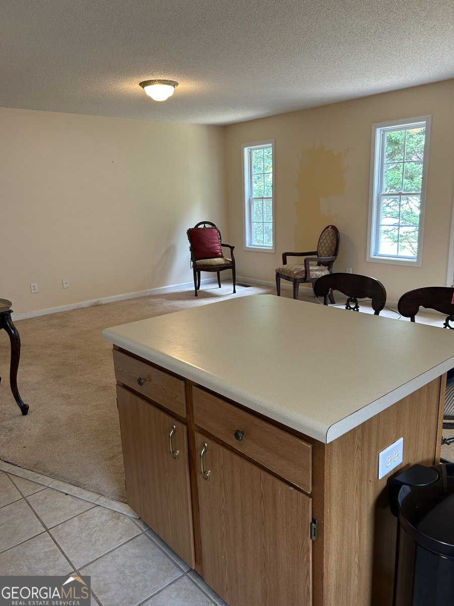 413 REMINGTON Court Villa Rica - 9