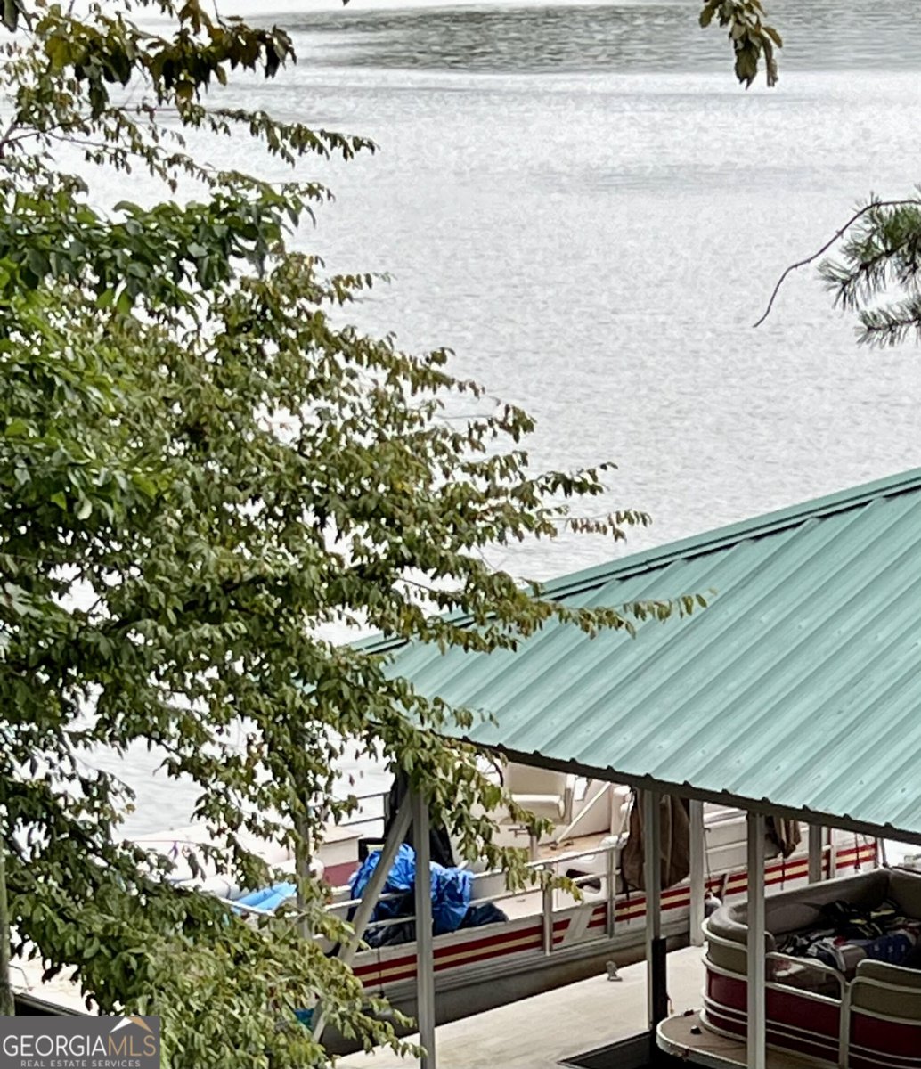 219 Pleasure Point Road Wedowee - 3