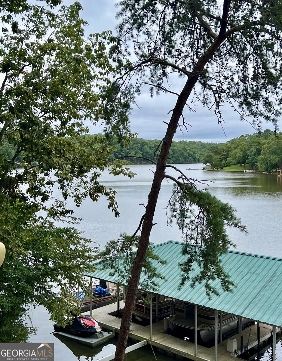 219 Pleasure Point Road Wedowee - 50