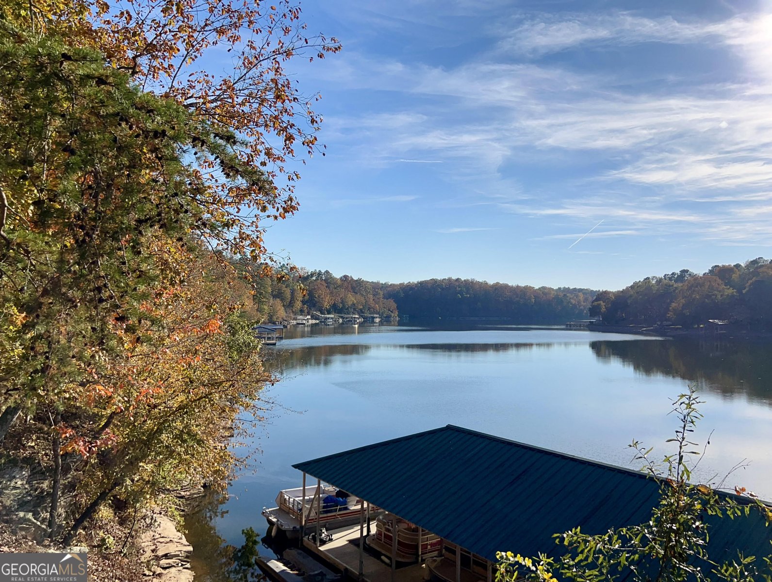 219 Pleasure Point Road Wedowee - 61