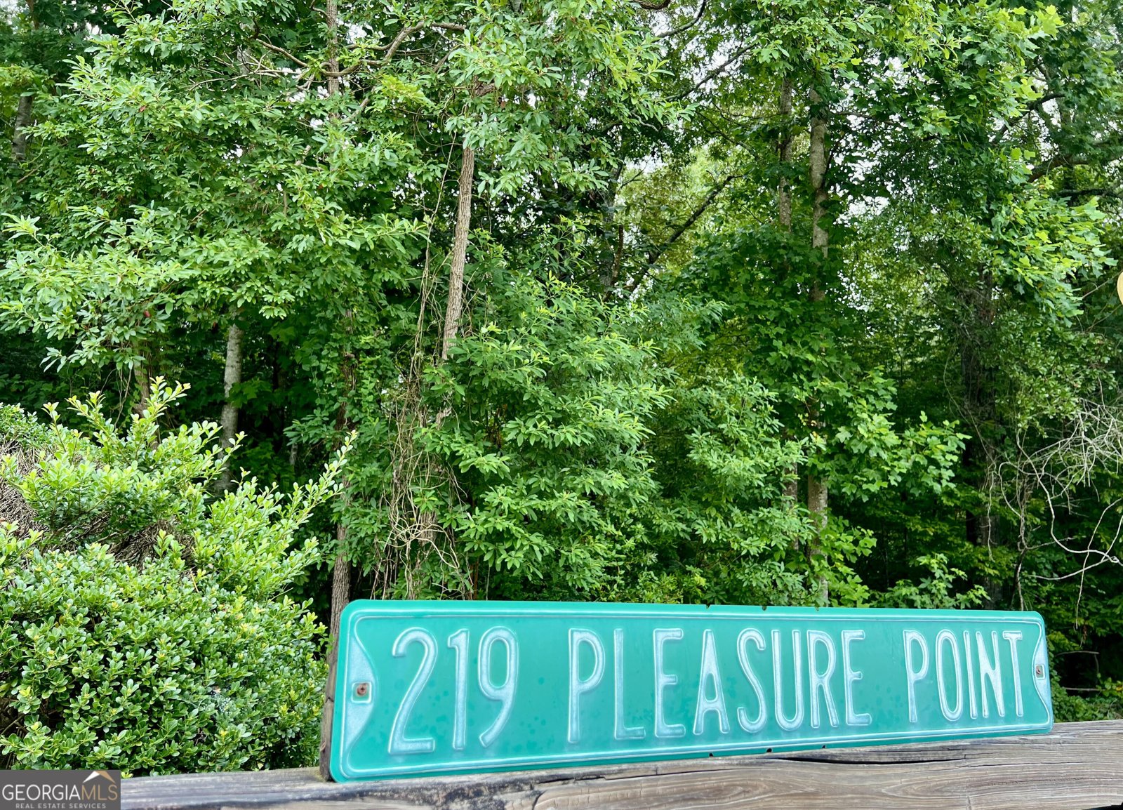 219 Pleasure Point Road Wedowee - Photo 71