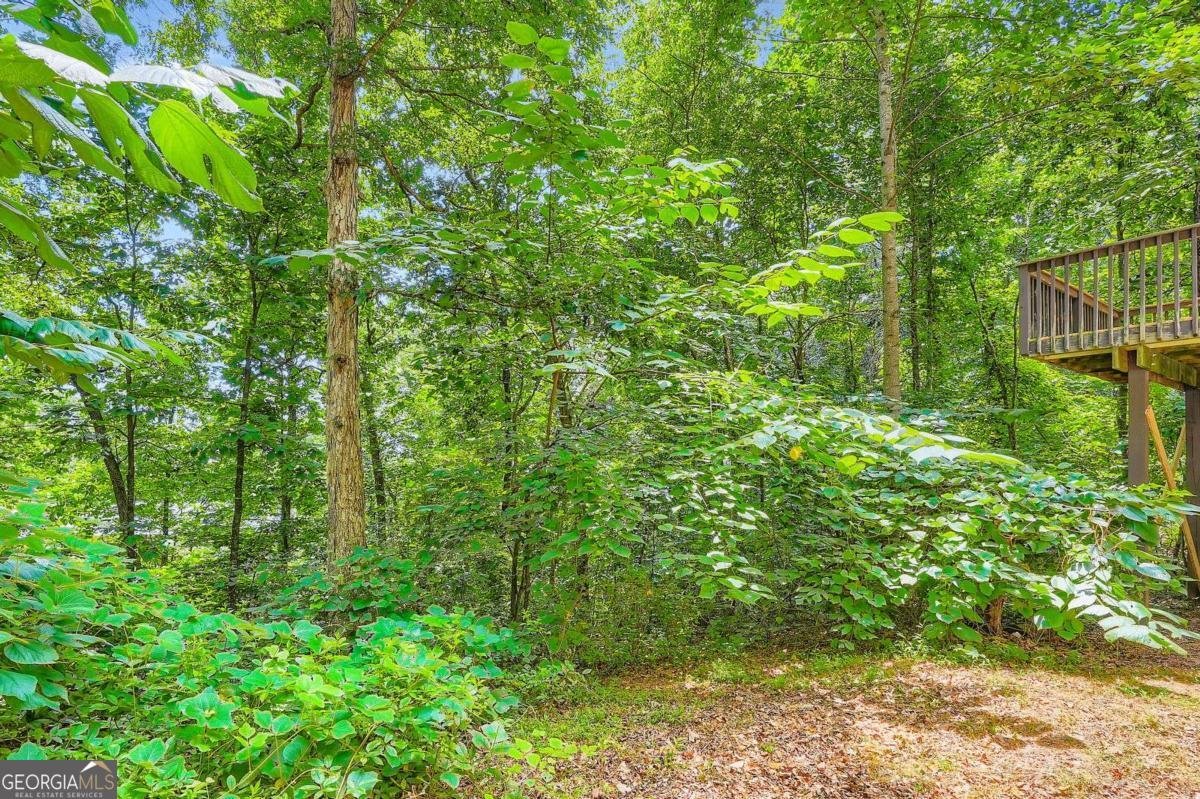 517 Ledbetter Road Villa Rica - 15