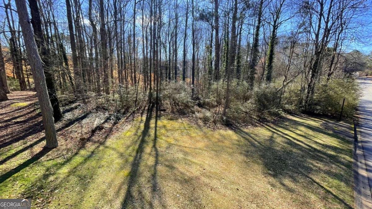 5050 Brownwood Drive Powder Springs - 49