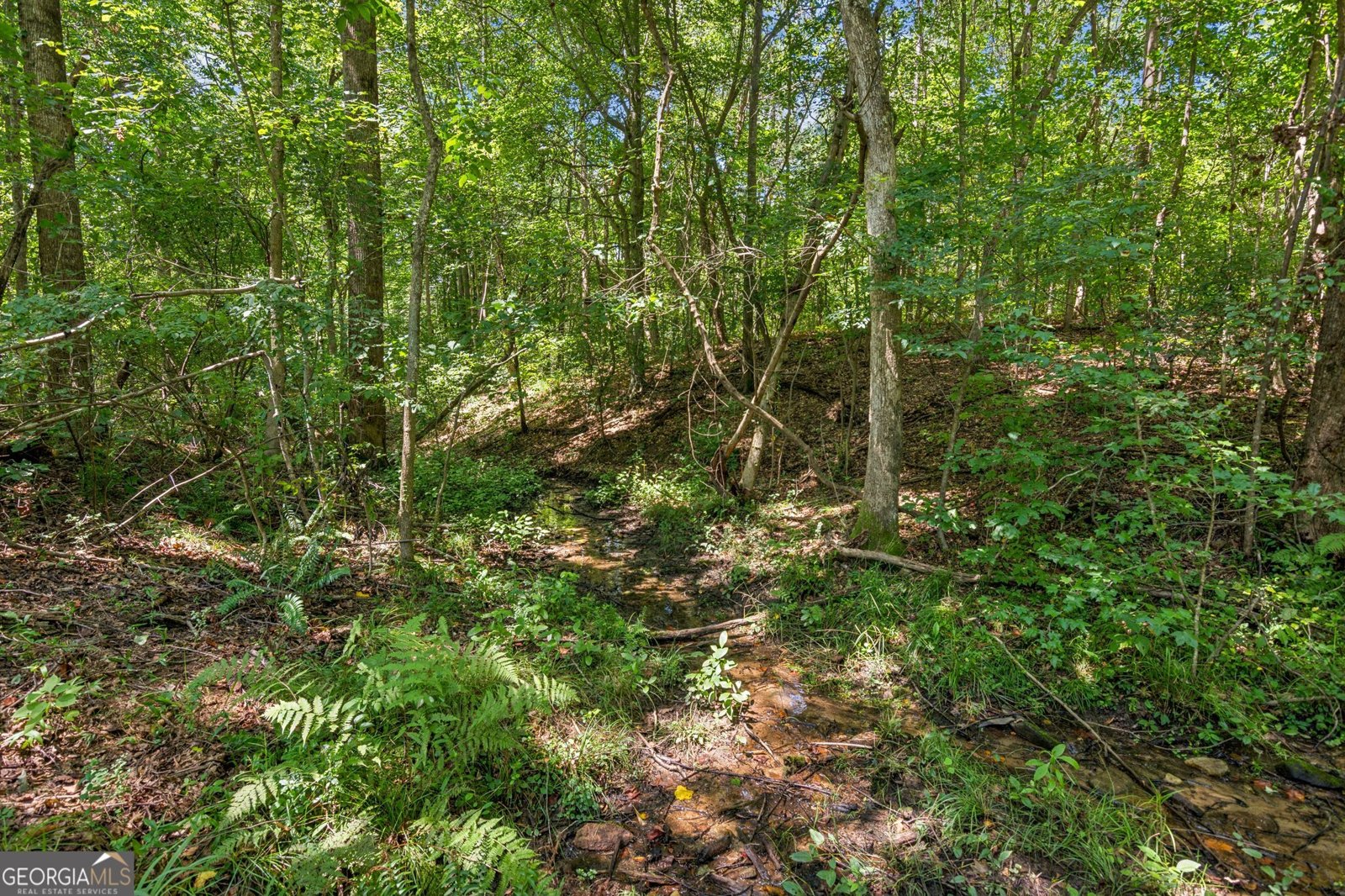 1330 Yonah Homer Road Maysville - 44