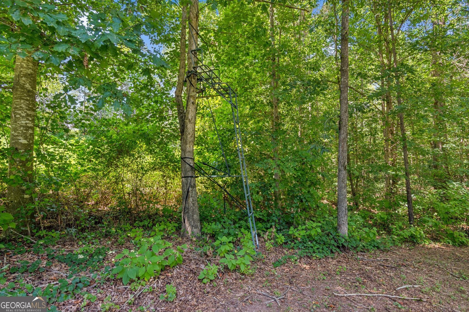 1330 Yonah Homer Road Maysville - 45