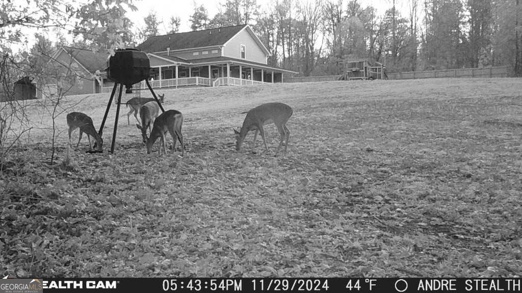 1330 Yonah Homer Road Maysville - 53