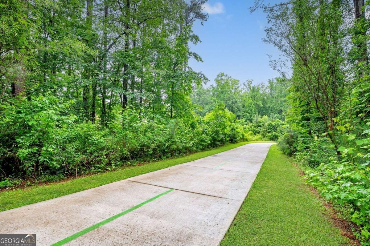 43 Ulsh Park Drive Newnan - 29