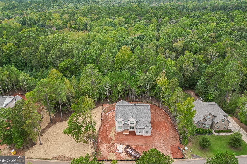 1251 Riverhill Drive Bishop - 32