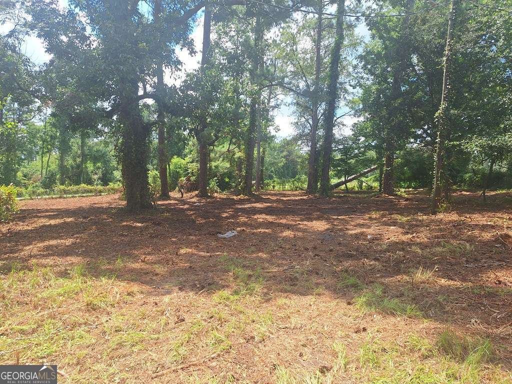 880 Sellers Road Baxley - 4