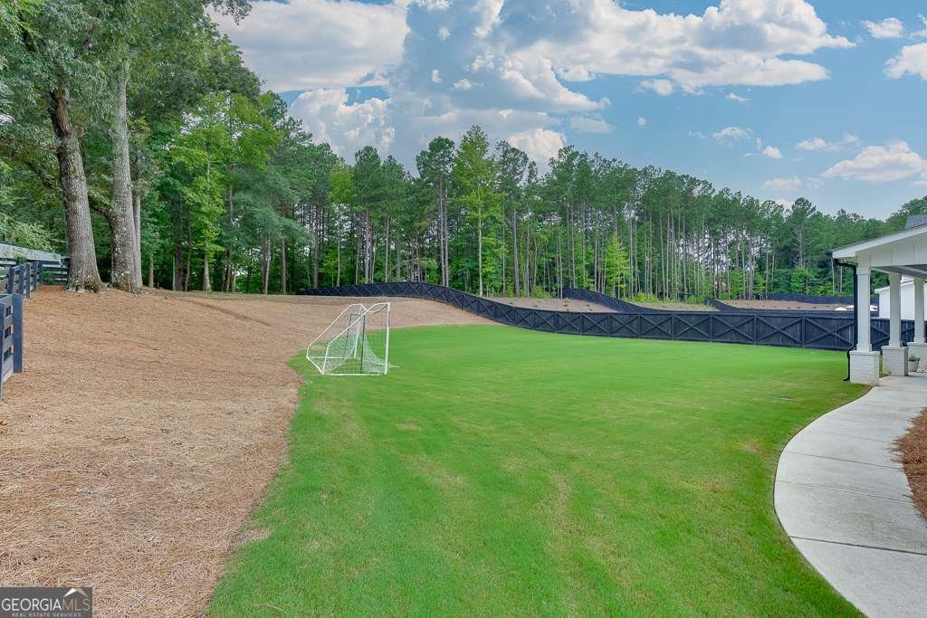 2381 Jones Phillips Road Dacula - 33