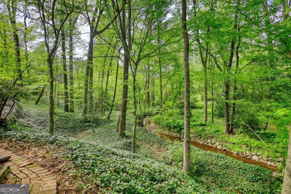 2520 Overlook Way Atlanta - 63