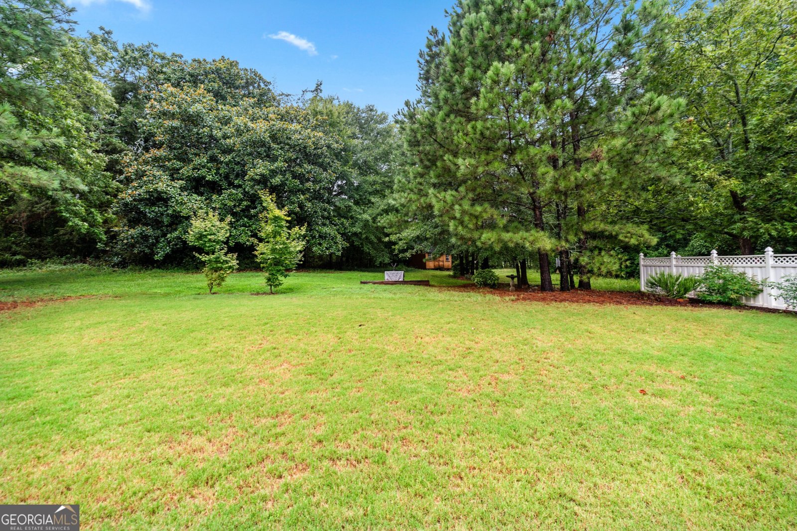 261 Petal Creek Lane Jefferson - 38