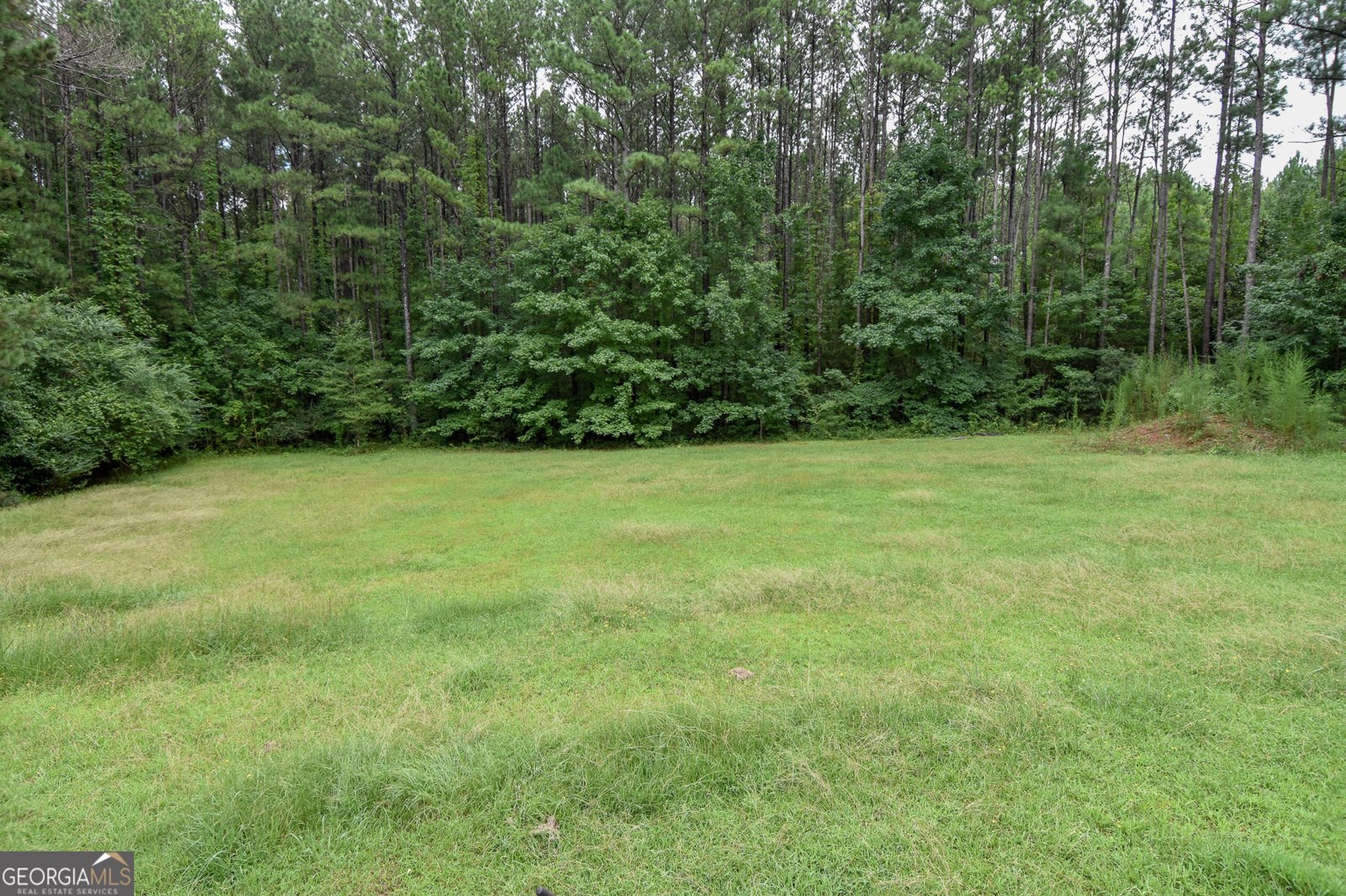 667 Hamilton Road Concord - 13