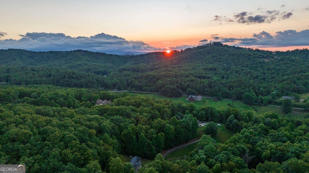 588 Pinetree Road Blue Ridge - 30