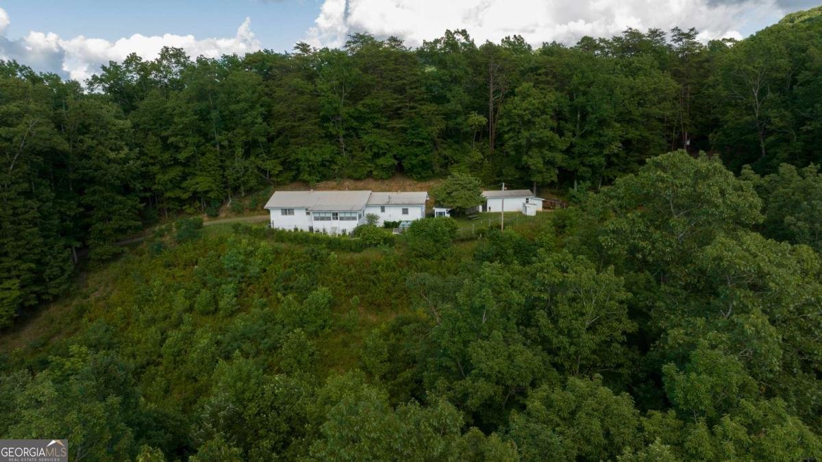 588 Pinetree Road Blue Ridge - 31