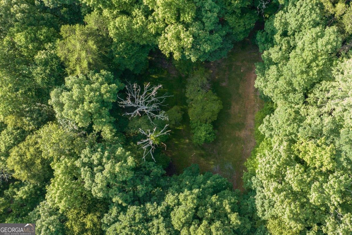 588 Pinetree Road Blue Ridge - 32