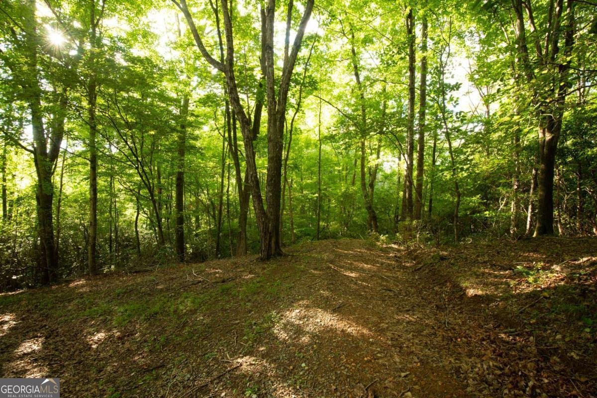 588 Pinetree Road Blue Ridge - 33