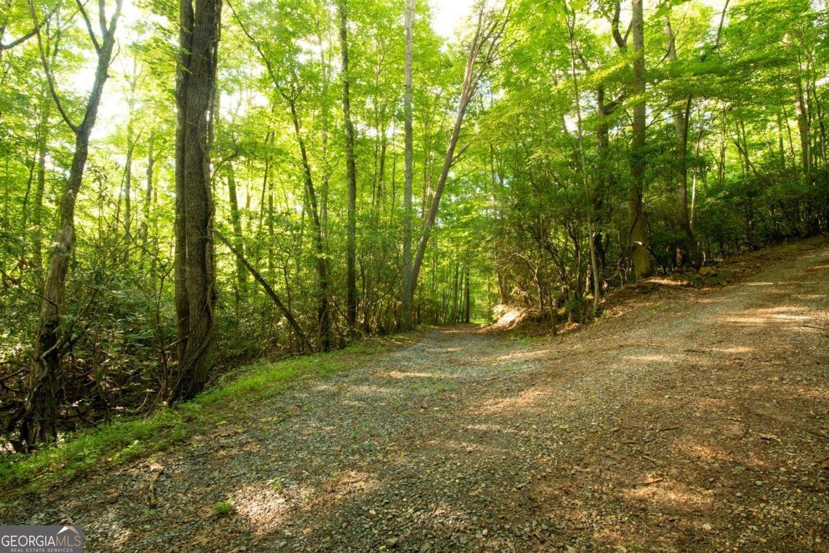588 Pinetree Road Blue Ridge - 34