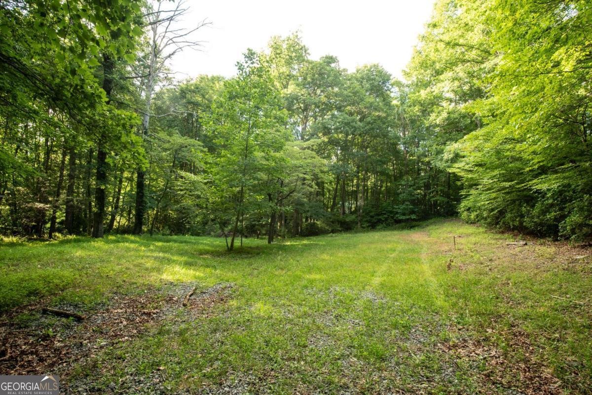 588 Pinetree Road Blue Ridge - 35