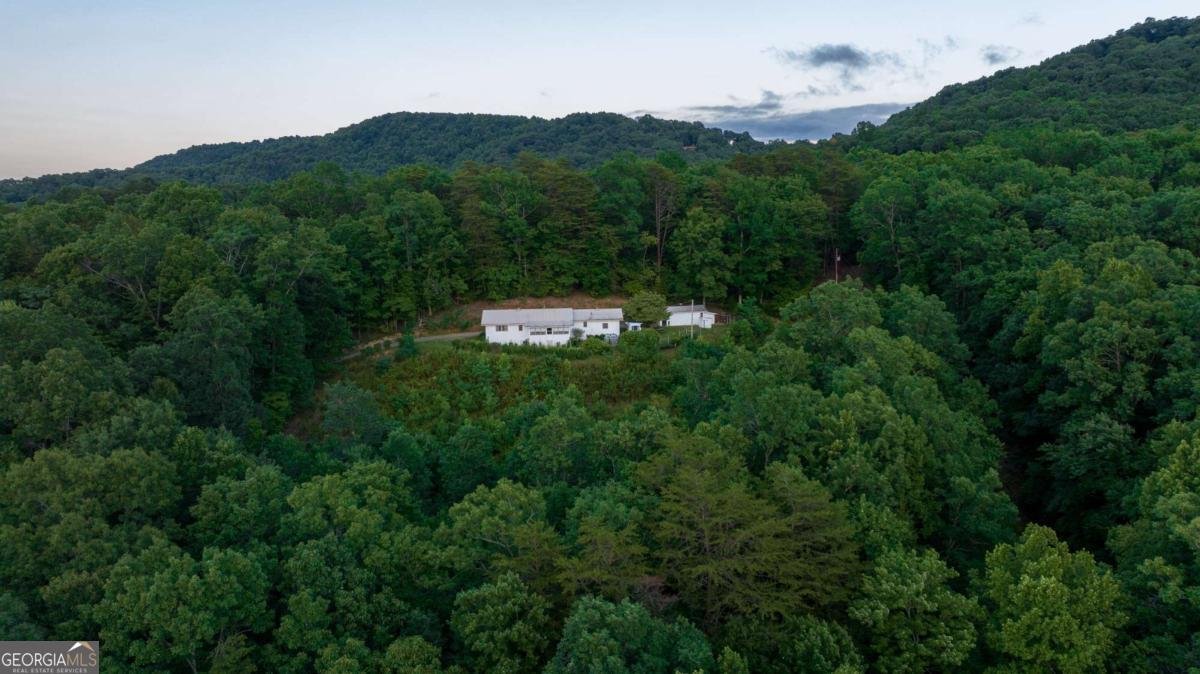 588 Pinetree Road Blue Ridge - 39